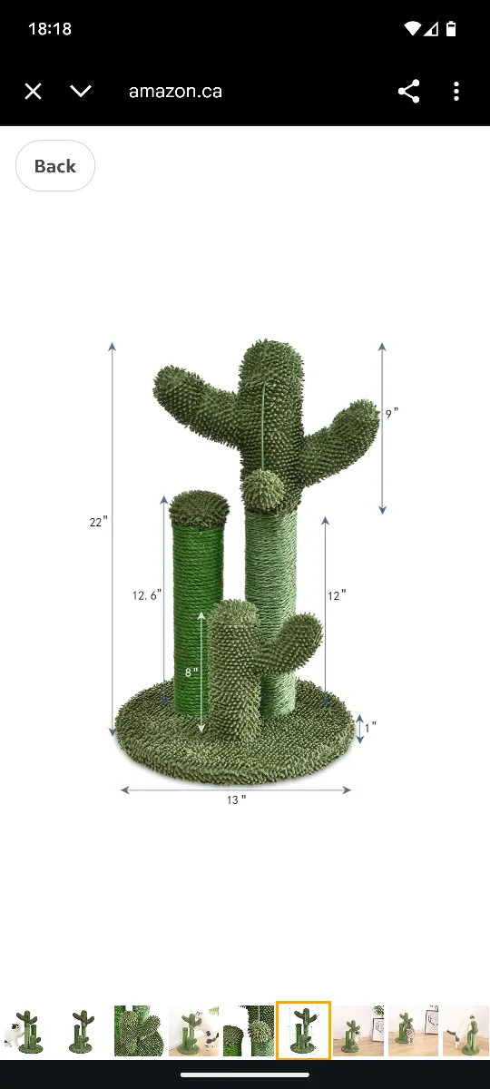 Cactus Cat Scratching 🥕 image indicator(5)