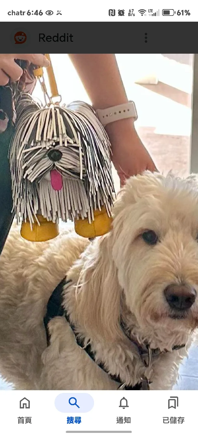 White Dog Purse Bag thumbnail
