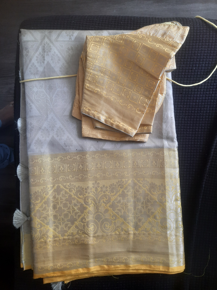 Sari and Blouse Set