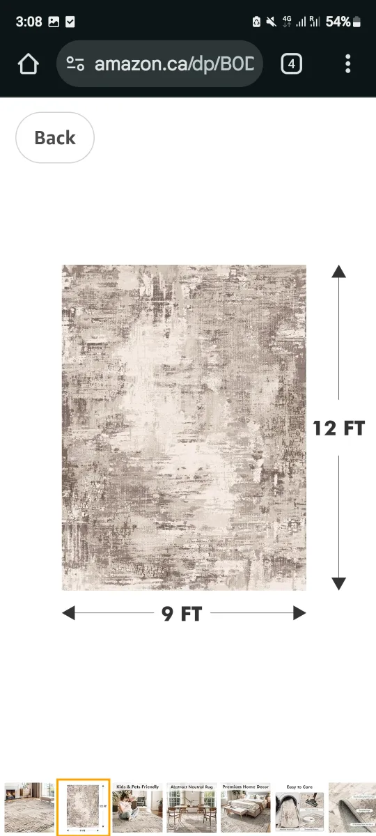 Abstract Neutral Area Rug image indicator(8)