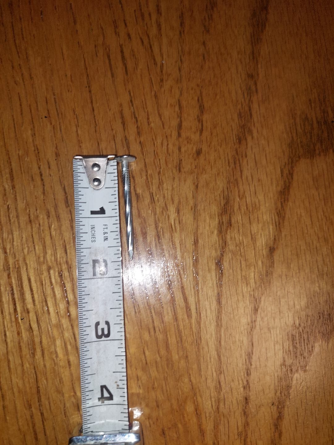 1 & 3/4 inch stainless steel nails - 30lbs - photo 2
