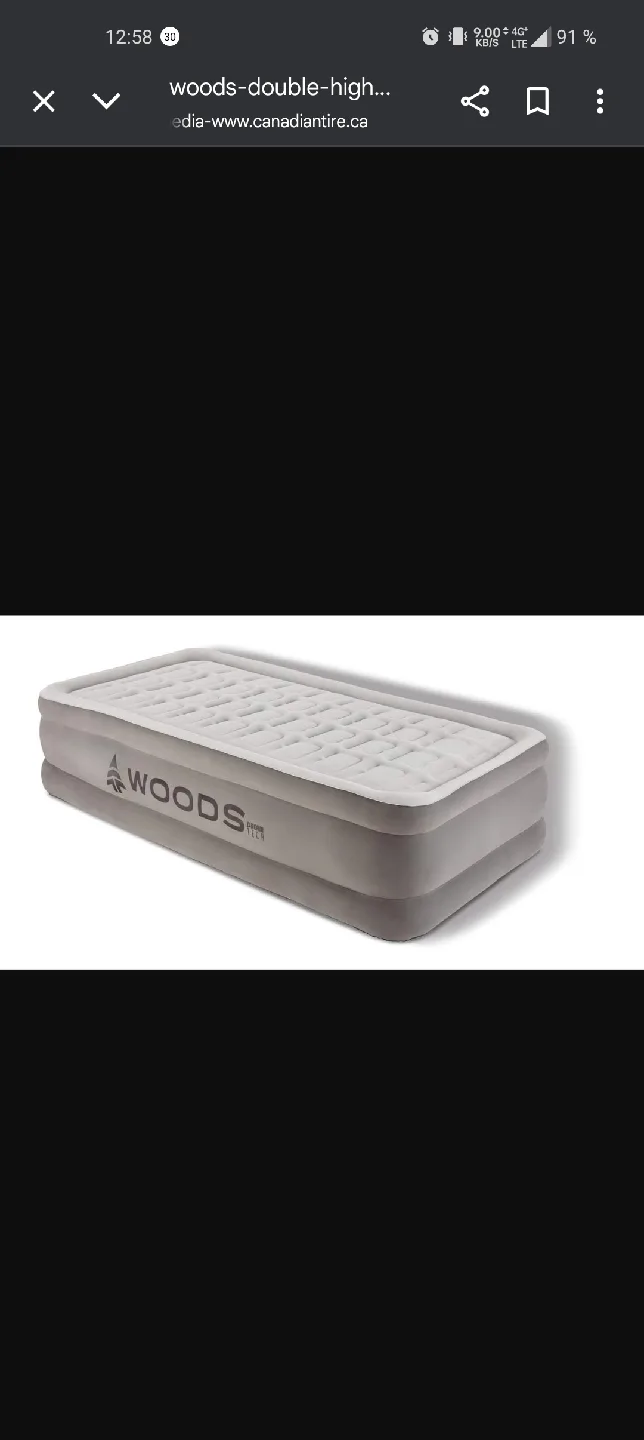 Woods Tritech Double-High Air Mattress - single image indicator(8)