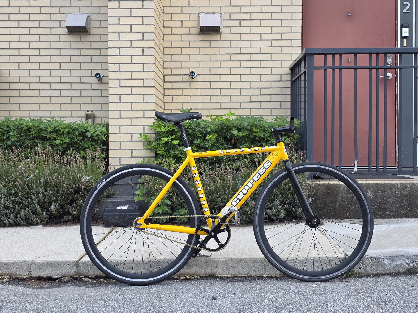 Cypress Fixed Gear/Track Bike