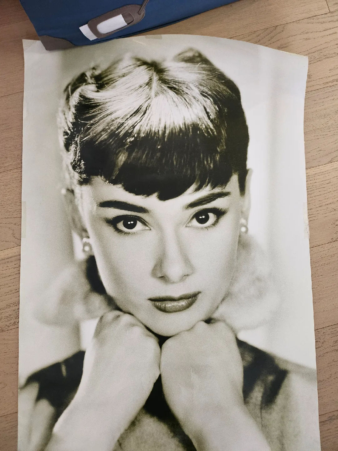 Audrey Hepburn poster thumbnail