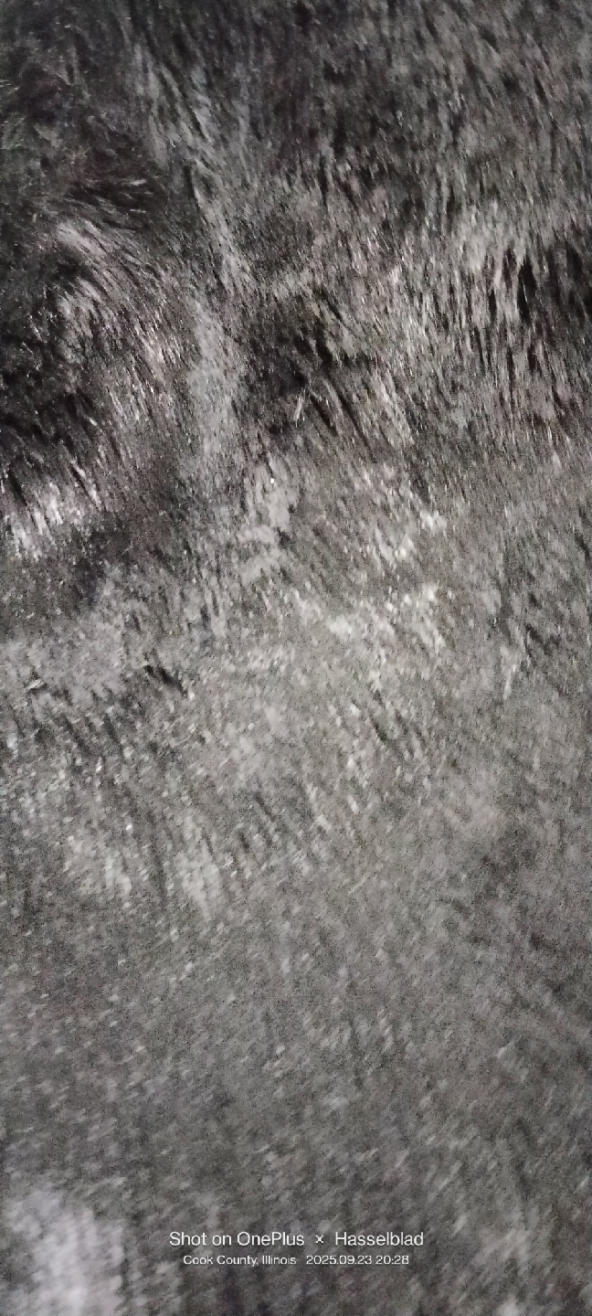 Andrew Marc Black Coat XL - photo 5
