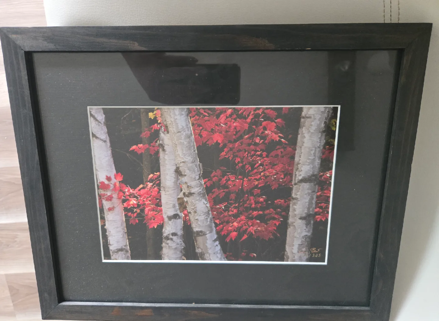 7 Landscape portraits - framed - Canadian artist image indicator(4)