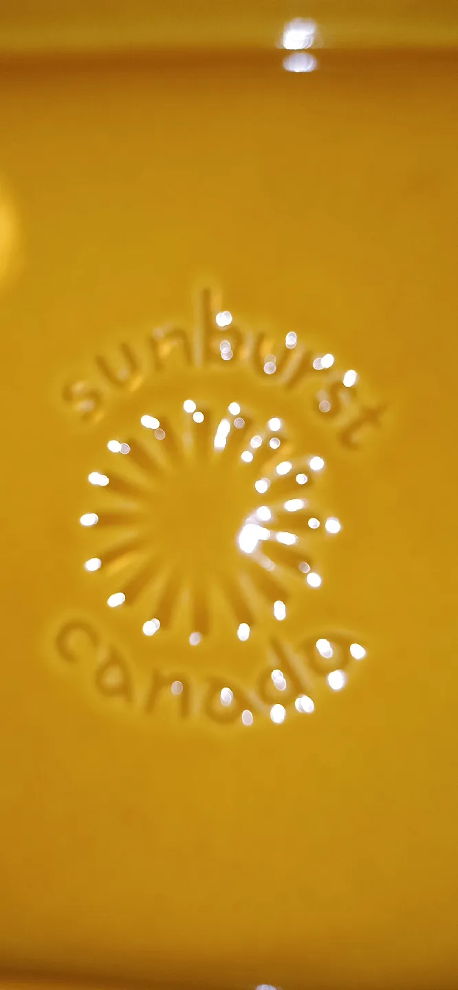 Sunburst Canada Mustard Yellow Divided Serving Plates image indicator(4)