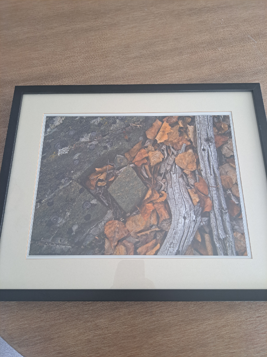 Fall photo in frame