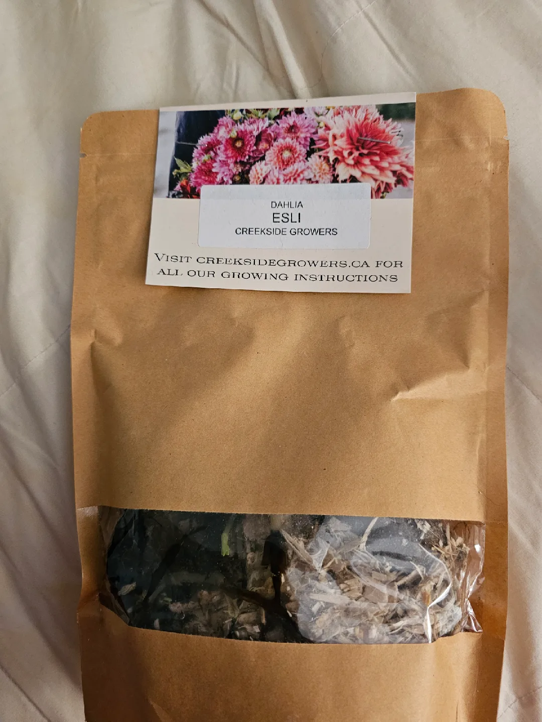 Dahlia Bulbs - Dark Spirit, Esli, Banana Baby