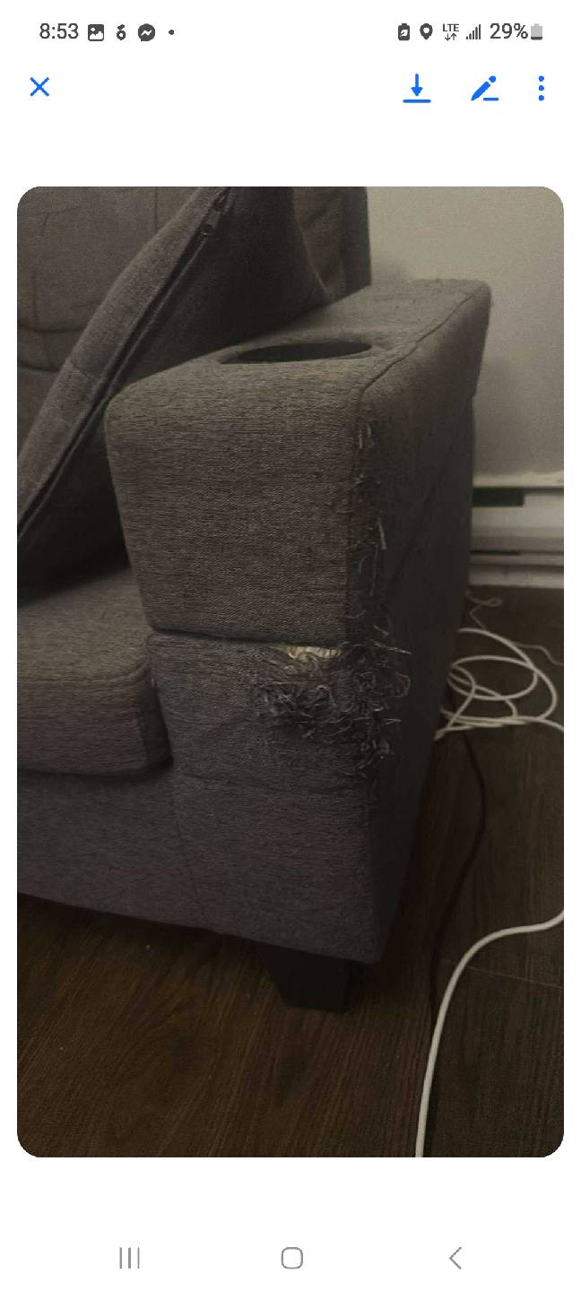 free delivery Grey Sectional Sofa with Chaise - photo 3
