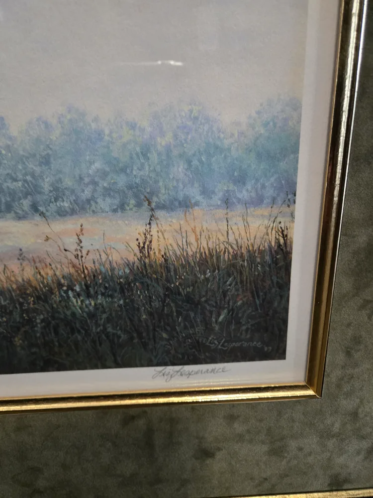 Beautifully Framed Liz Lesperance-Old Tire Swing image indicator(2)