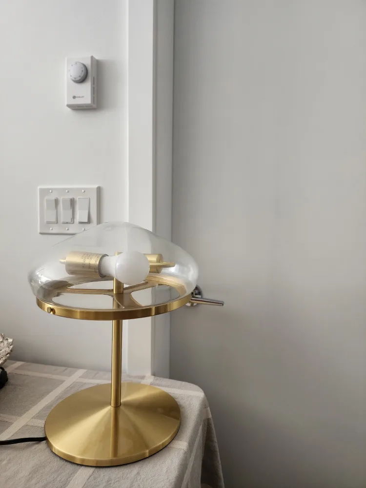 Brass Gold  Dual Bulb Table Lamp with Glass Shade image indicator(2)
