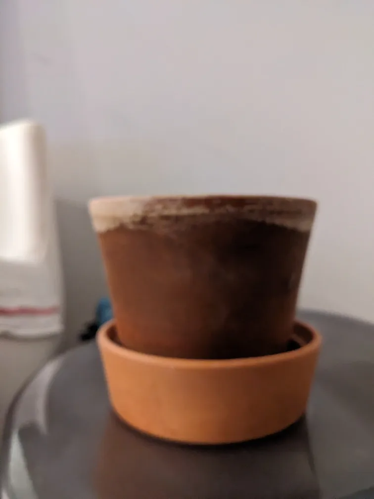 🥕Terracotta Clay Pot with Saucer thumbnail
