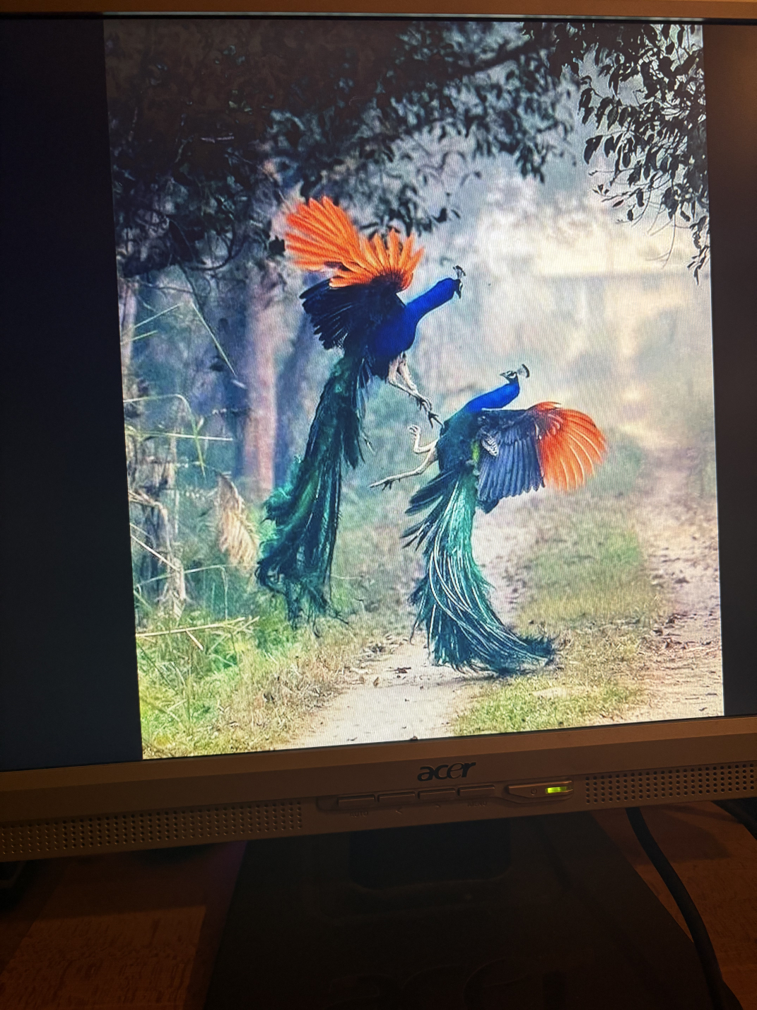 20" LCD monitor