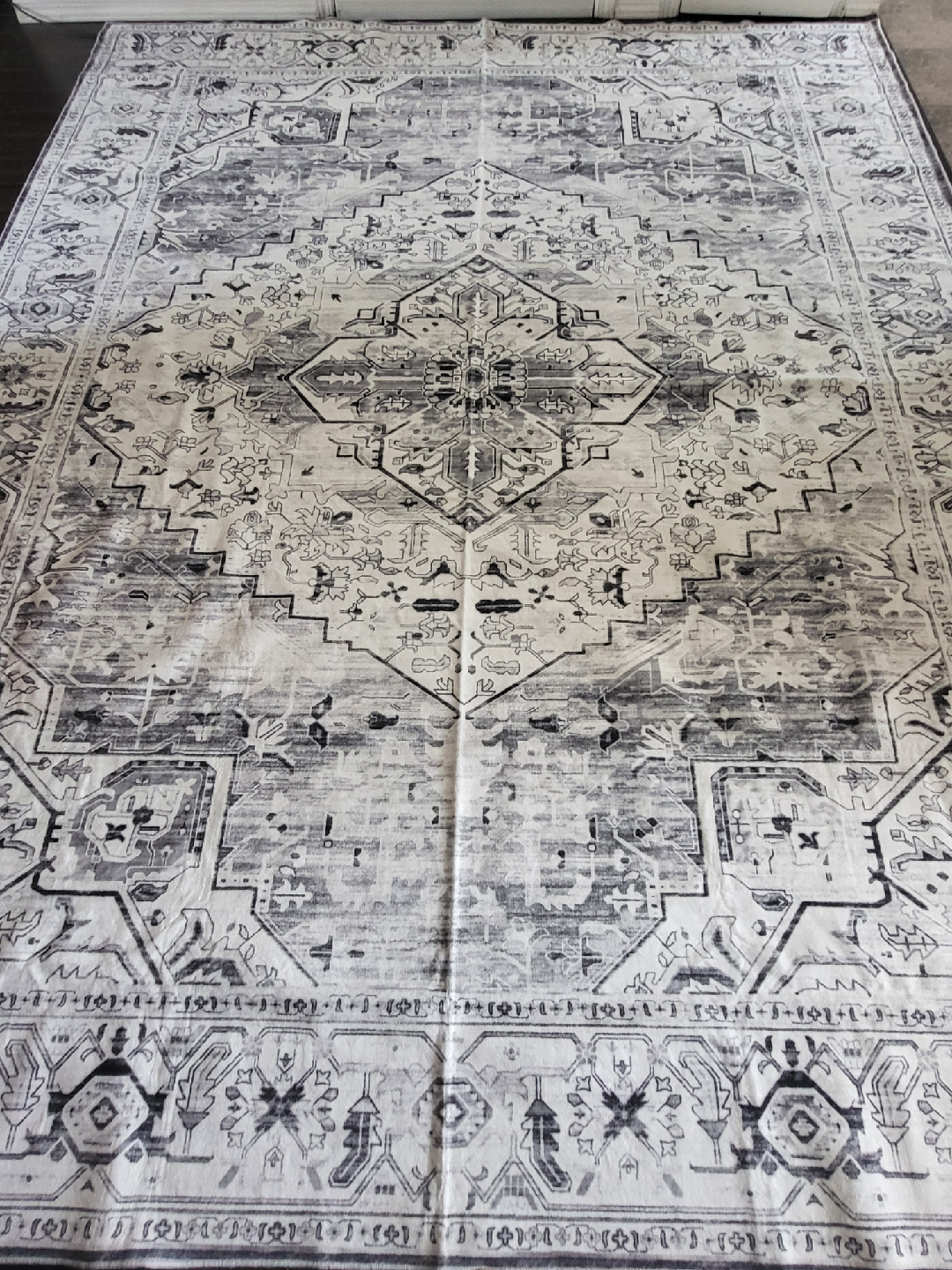 8ft X 10ft Area rug (Brand new)
