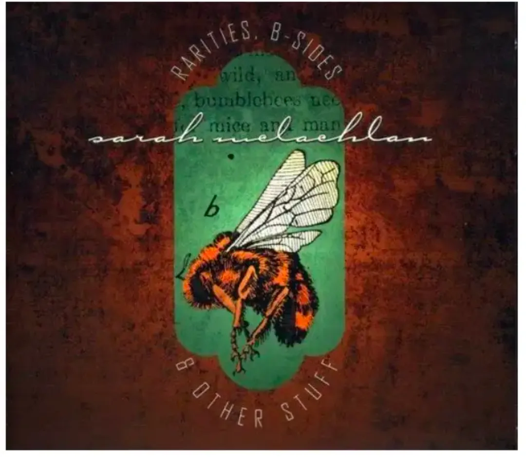 Sarah McLachlan Rarities, B-Sides & Other Stuff CD thumbnail
