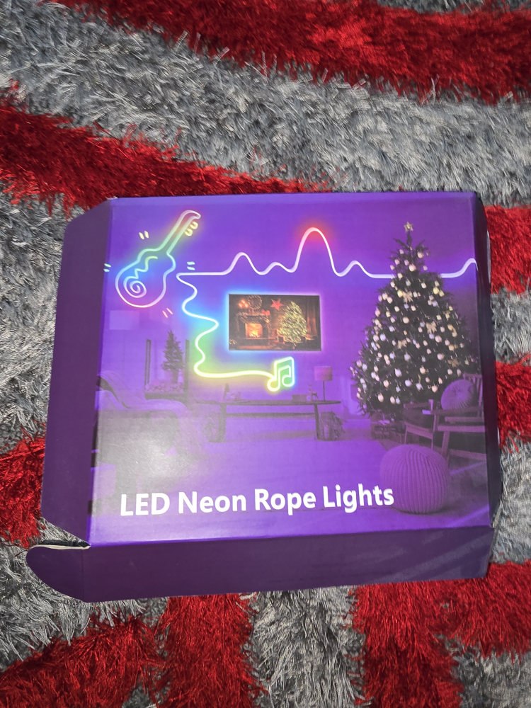 LED NEON ROPE LIGHT // 33.8 FT // App Control