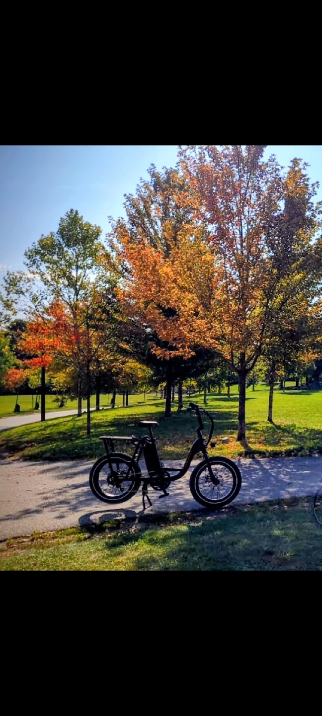 Power RAD ebike