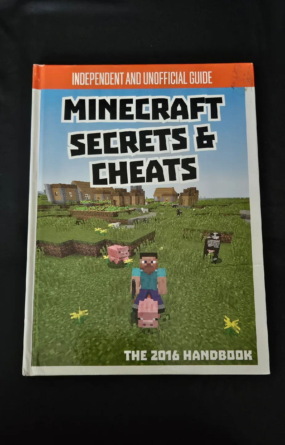 Minecraft Secrets & Cheats: The 2016 Handbook thumbnail