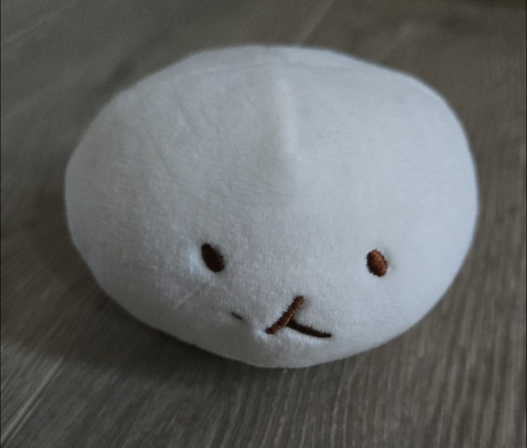 Kpop Baekhyun Teolaegi mini plush chapssal
