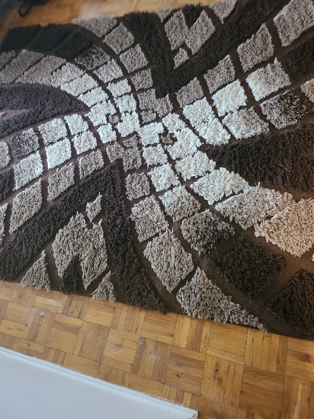 Brown Shag Rug