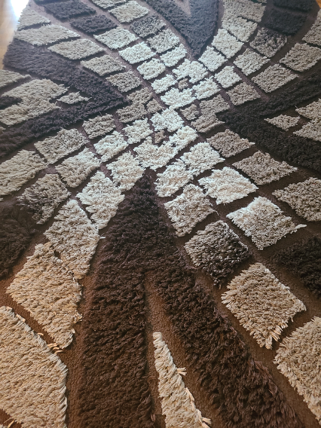 Brown Shag Rug - photo 3