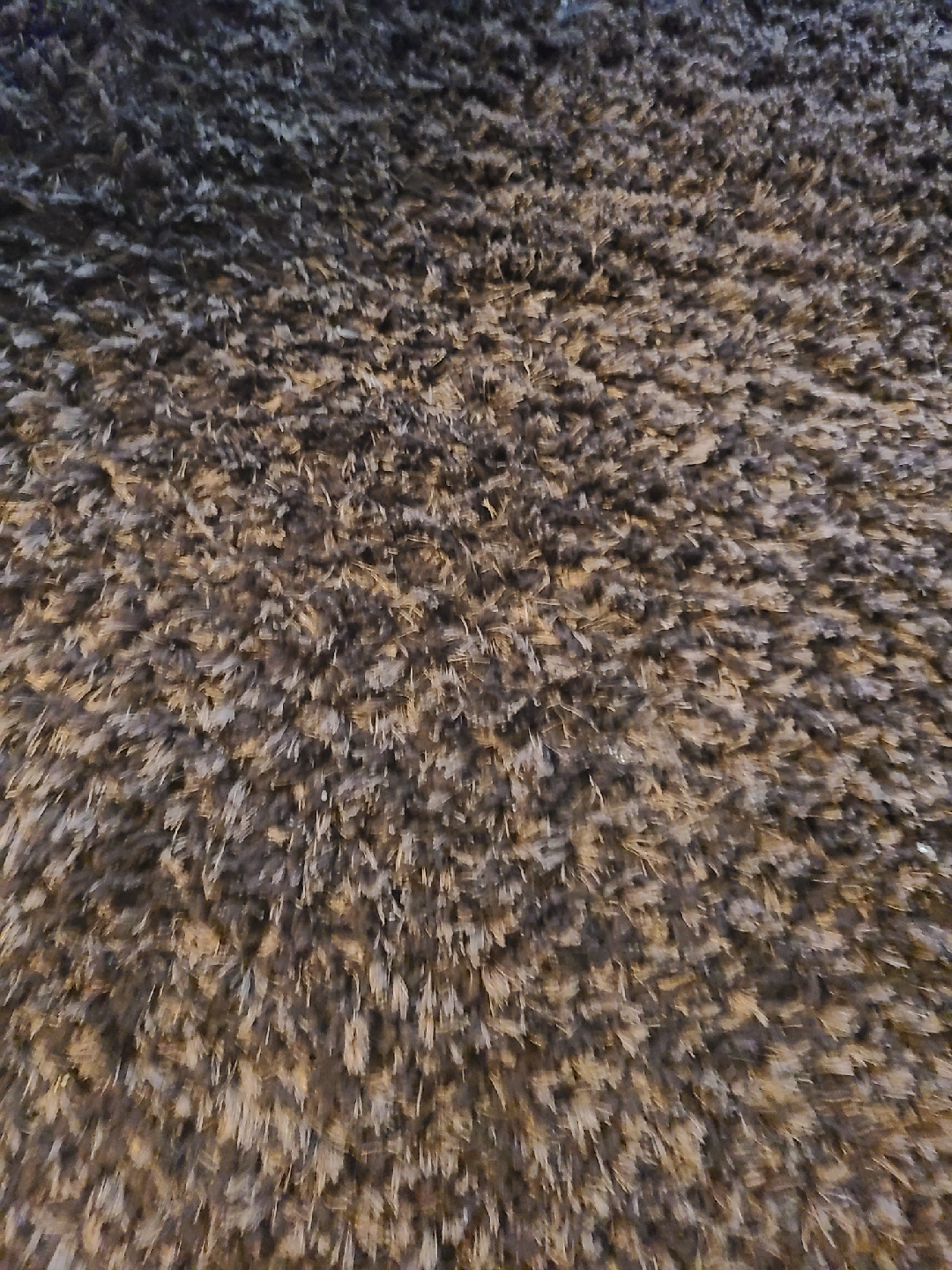 Brown Shag Rug - photo 4