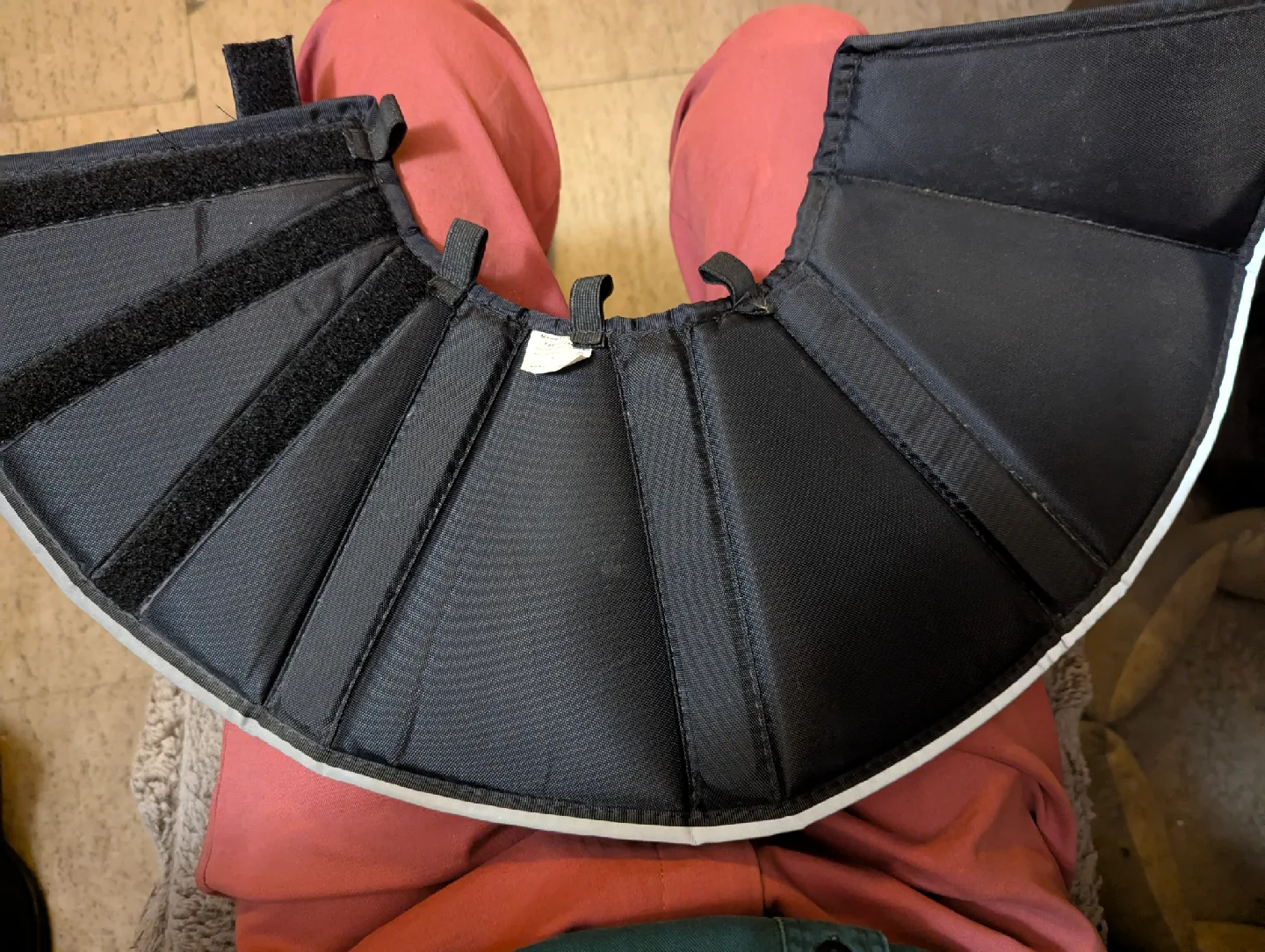 comfy pet cone image indicator(4)