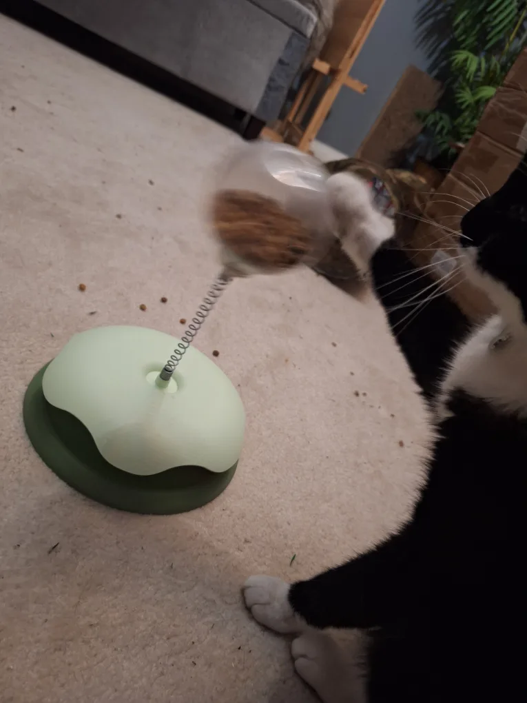 NEW Catit Treat Feeder Toy 😻 image indicator(3)
