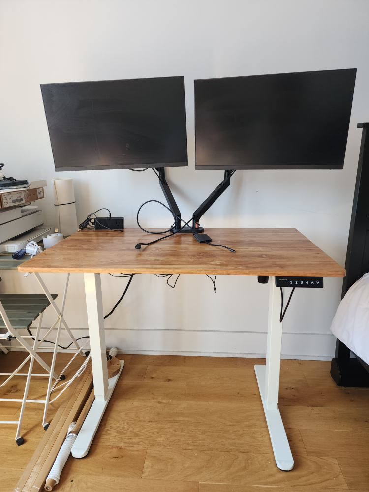Adjustable Standing Desk with 2 Monitors