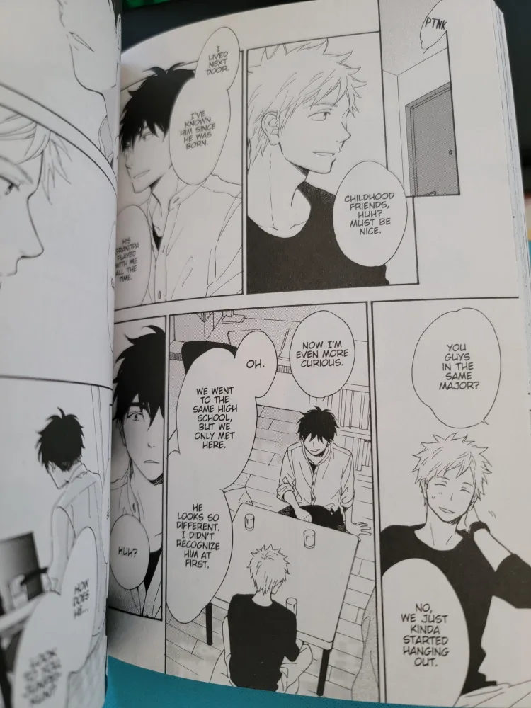 🥕 The Two Lions Manga by Nagisa Furuya image indicator(3)