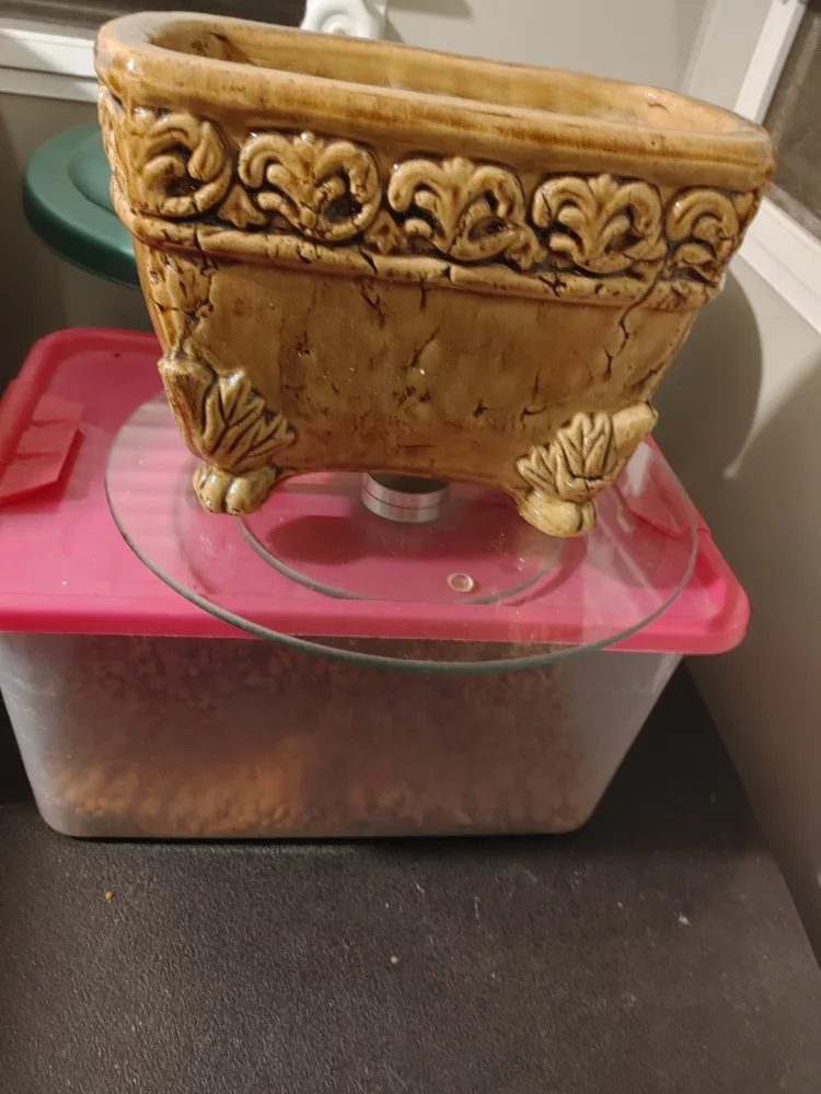 Vintage Ceramic Planter thumbnail