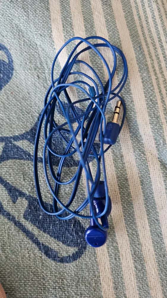 🥕Blue Wired Earphones thumbnail