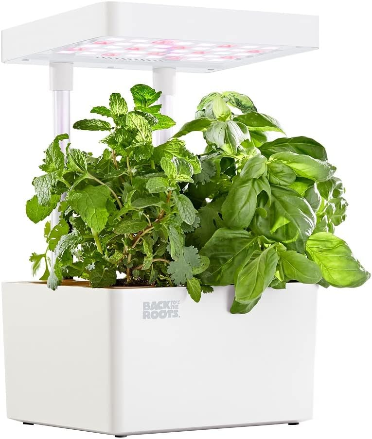 Back to the Roots v1.0 Hydroponic Grow Kit, 2022 Model