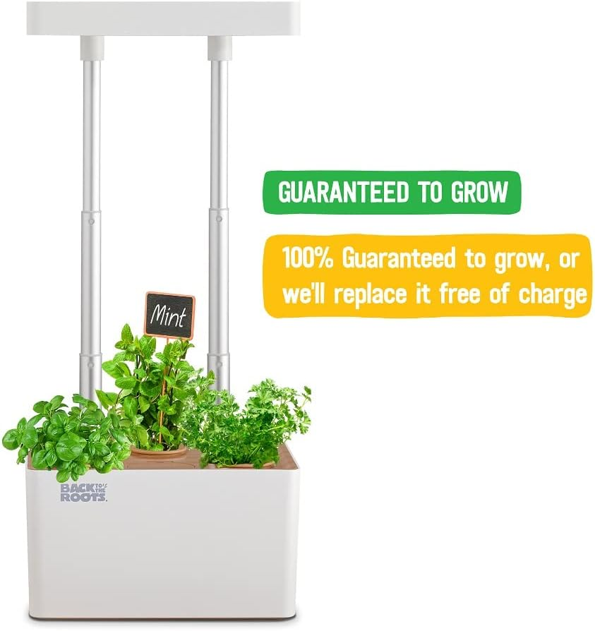 Back to the Roots v1.0 Hydroponic Grow Kit, 2022 Model - photo 5