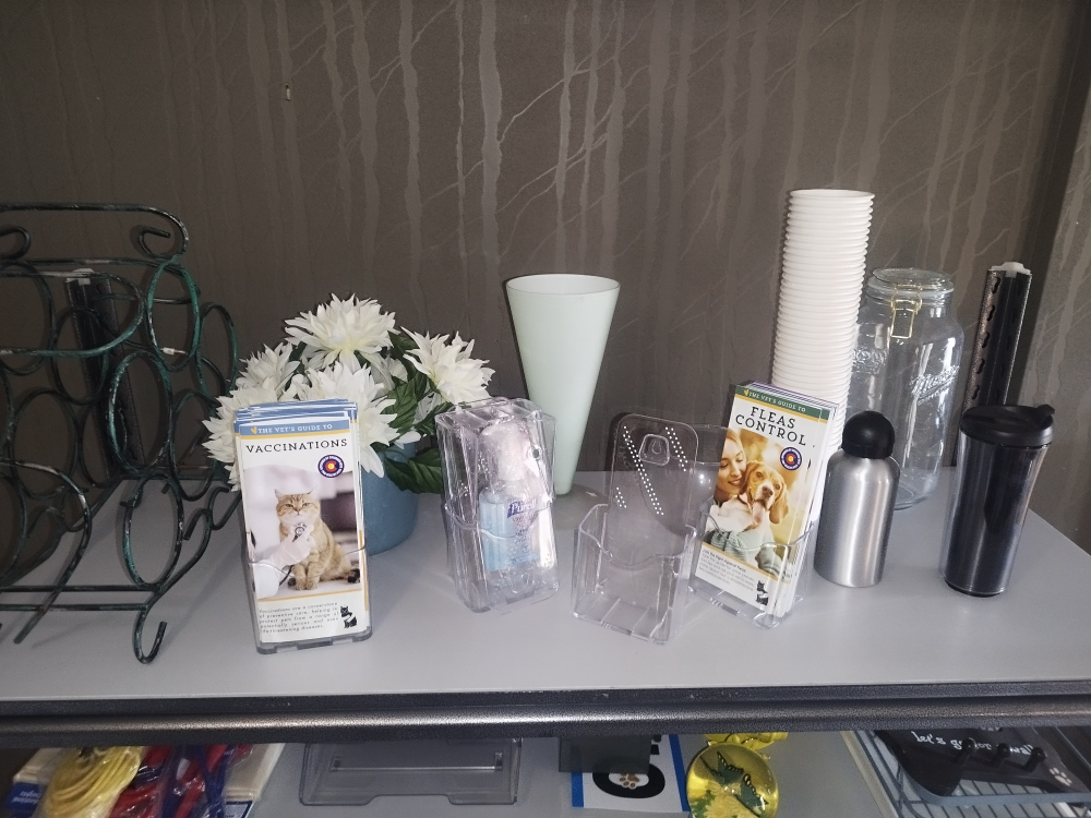 assorted $1 household items - photo 2