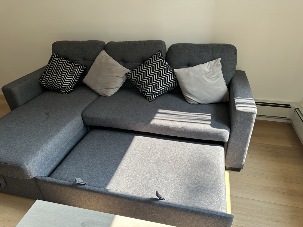 Grey Sleeper Sectional Sofa with Storage