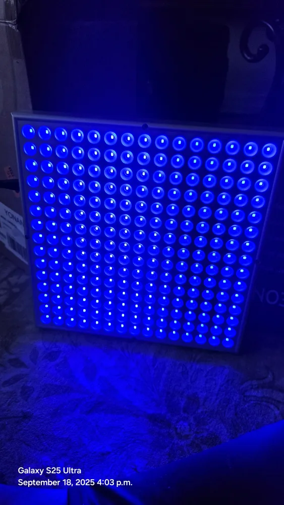 ultraviolet phototherapy indoor light thumbnail