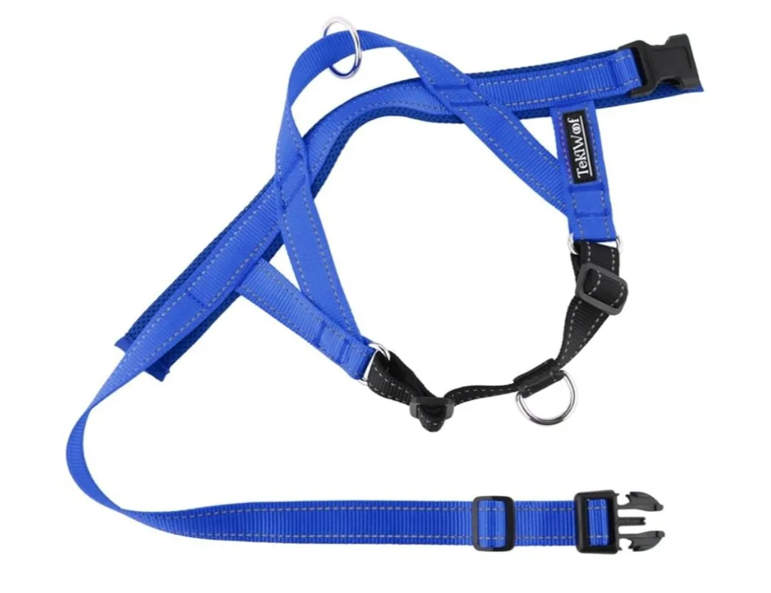 Blue Dog Harness - Size S image indicator(2)