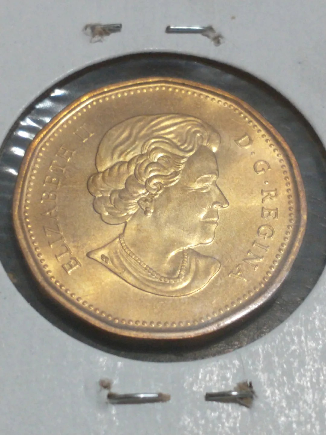 SOLD Nice 2011 Parks Canada MS65 loonie image indicator(3)