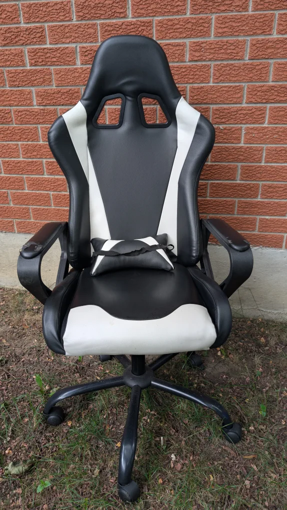 Black & White Gaming Chair