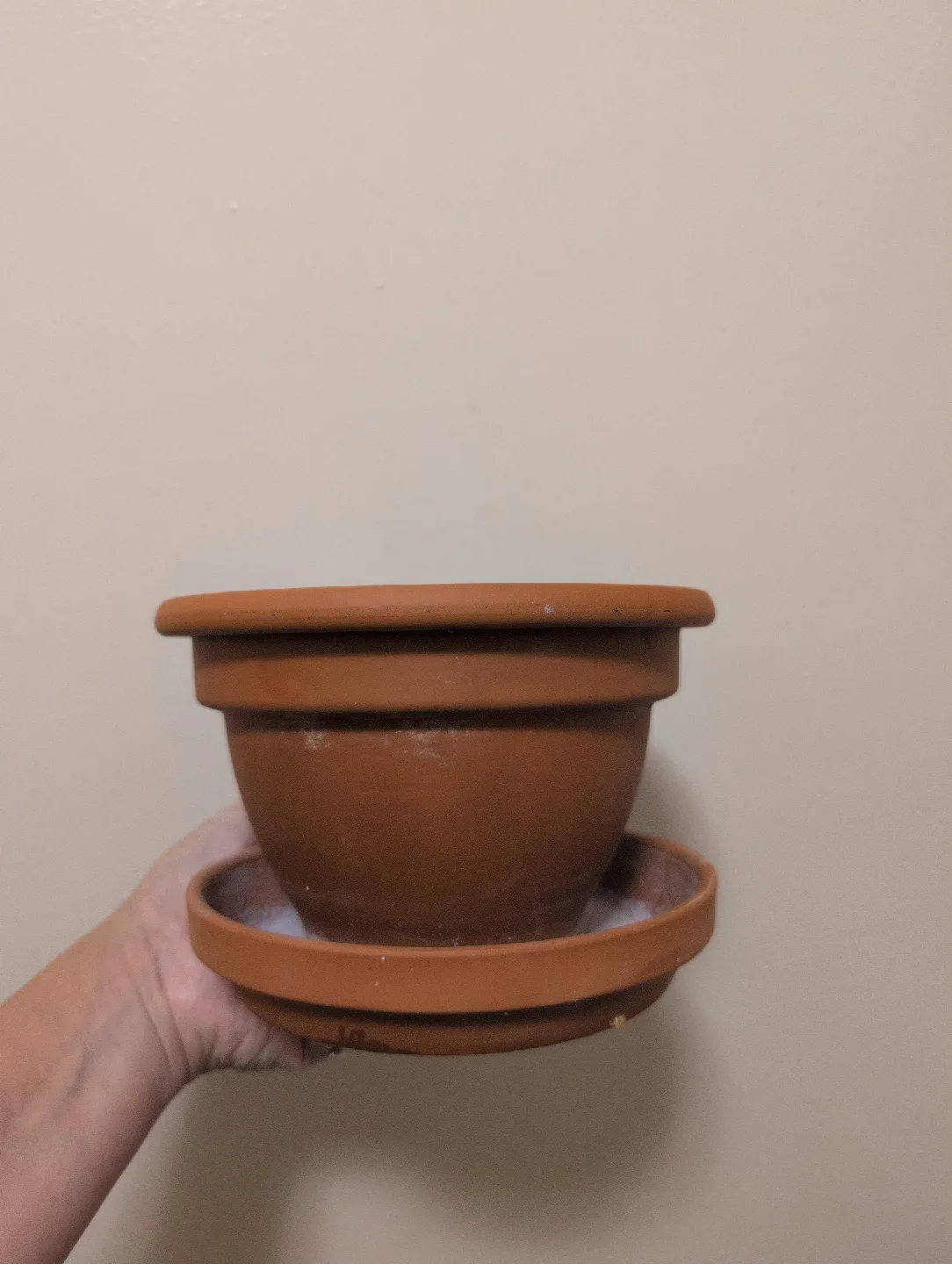 Terracotta Clay Plant Pot with Saucer thumbnail