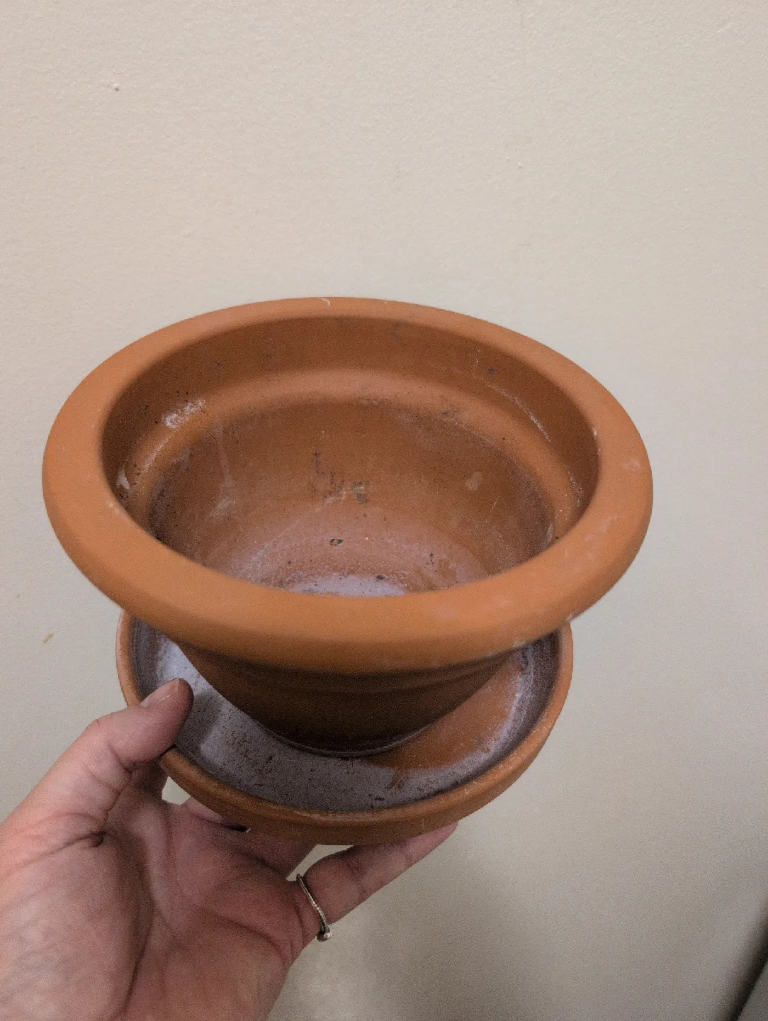 Terracotta Clay Plant Pot with Saucer image indicator(2)