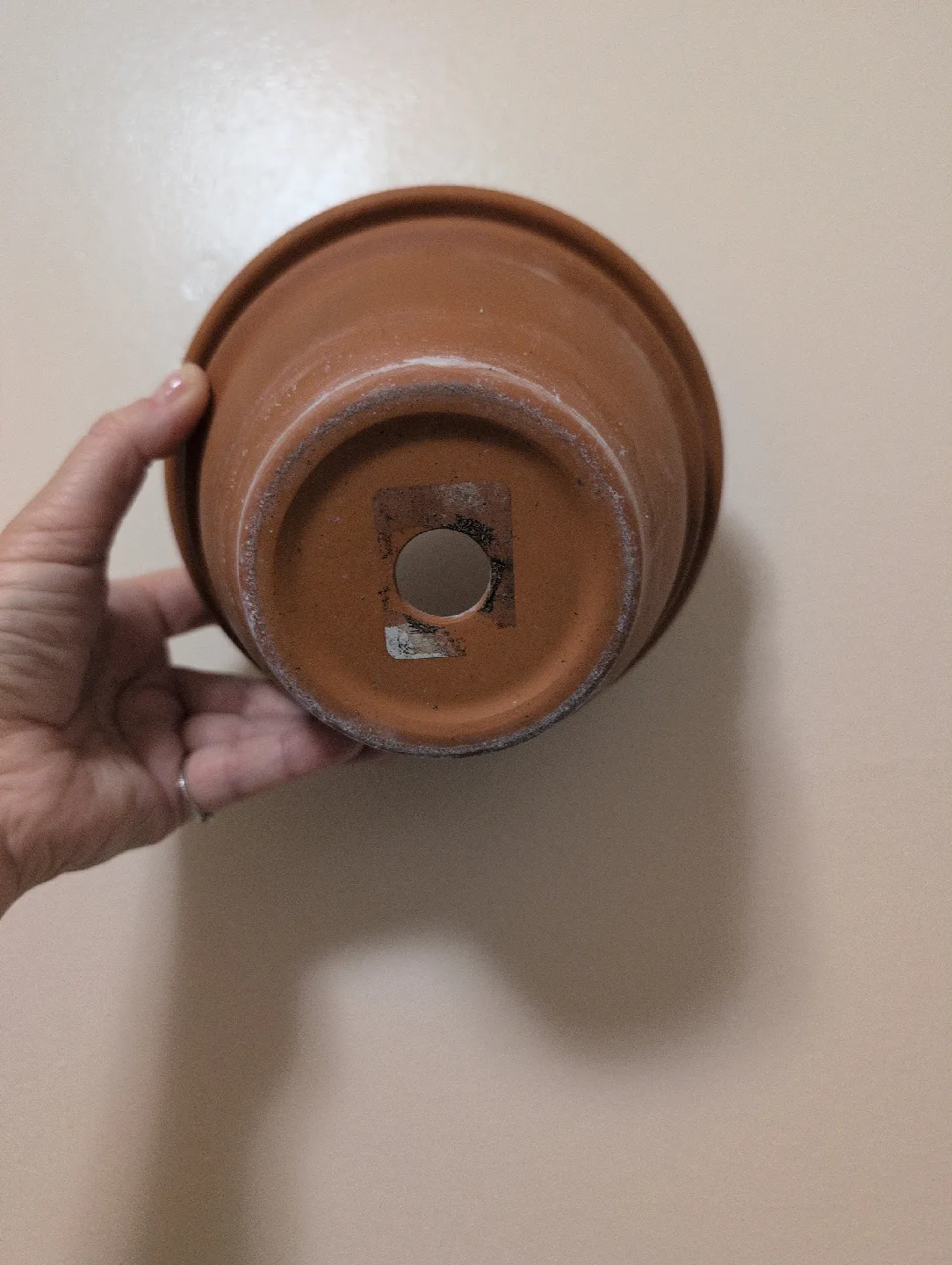 Terracotta Clay Plant Pot with Saucer image indicator(4)