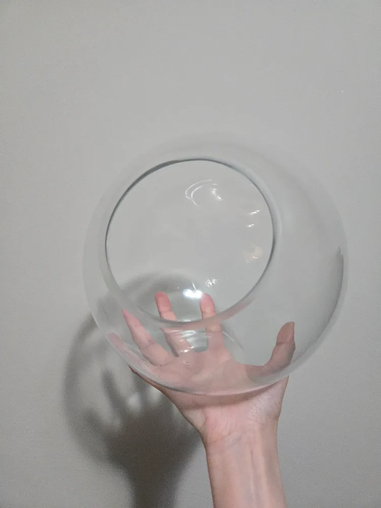 Clear Terrarium Vase L thumbnail