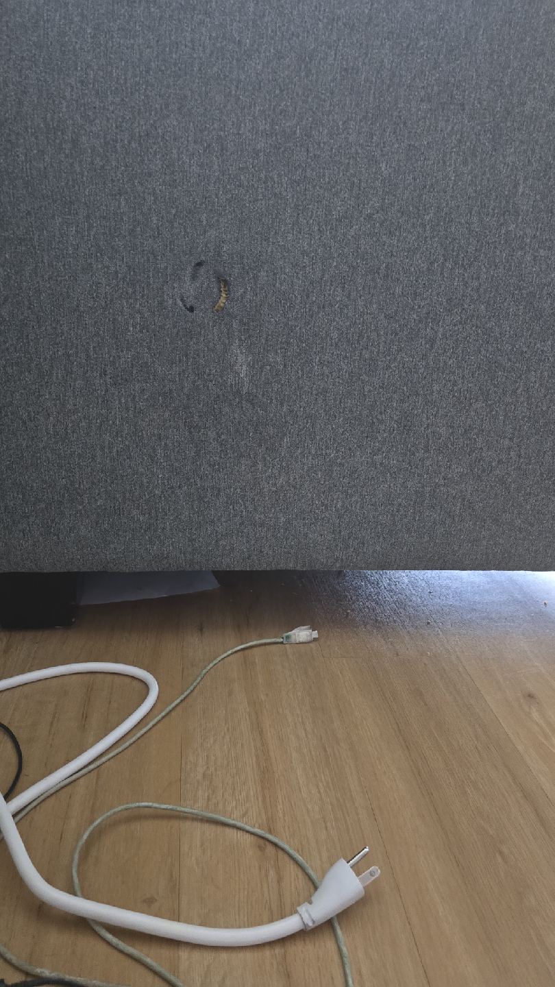 Grey Tufted Sofa - Some Damage - photo 4
