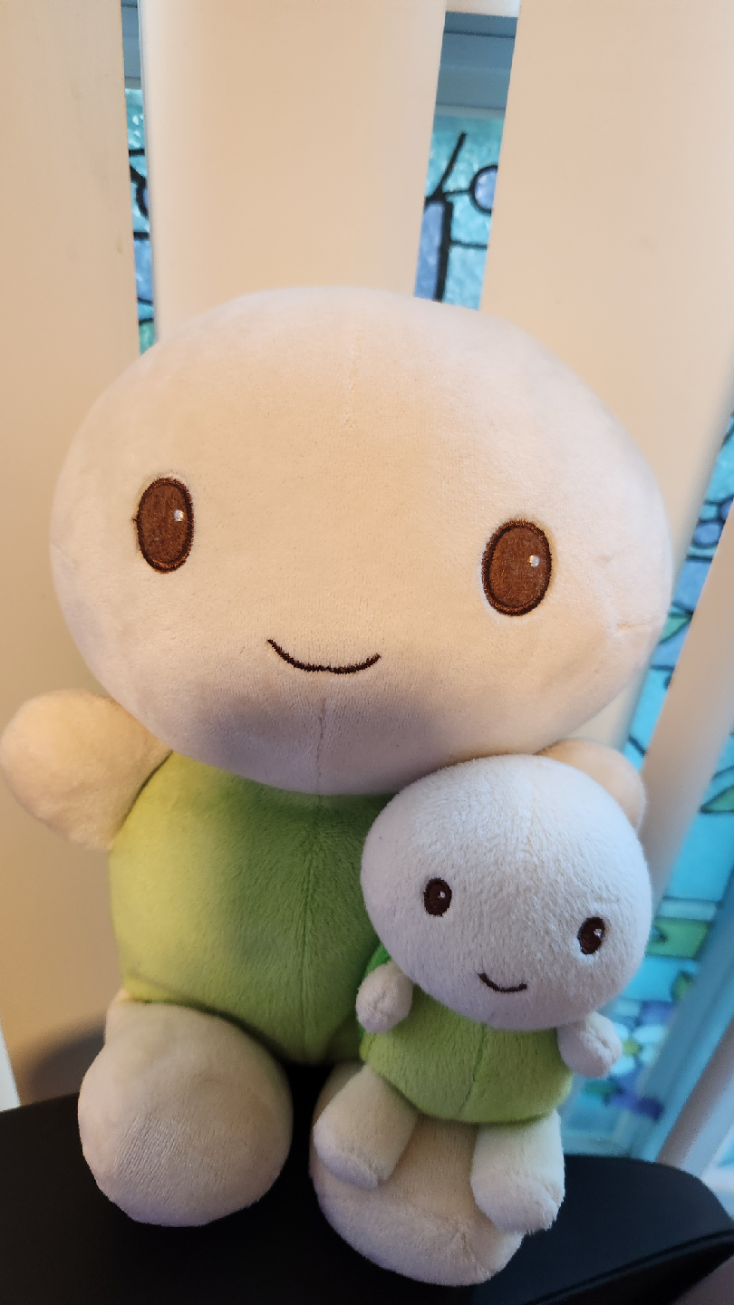 Turtle plushie