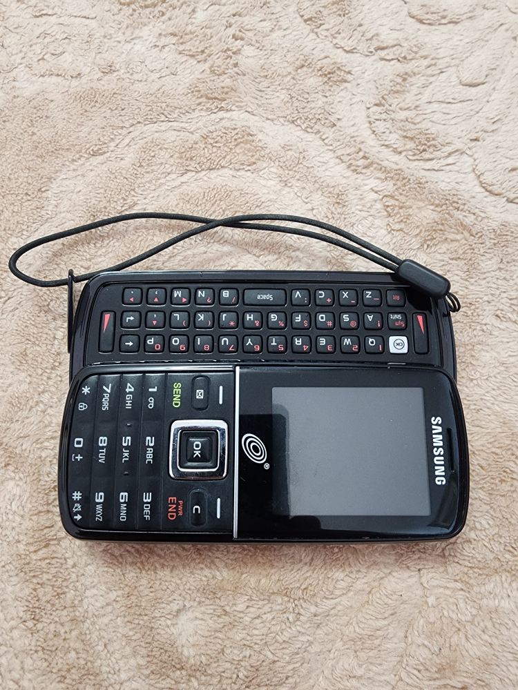 SAMSUNG  SGH-T401G (ST)