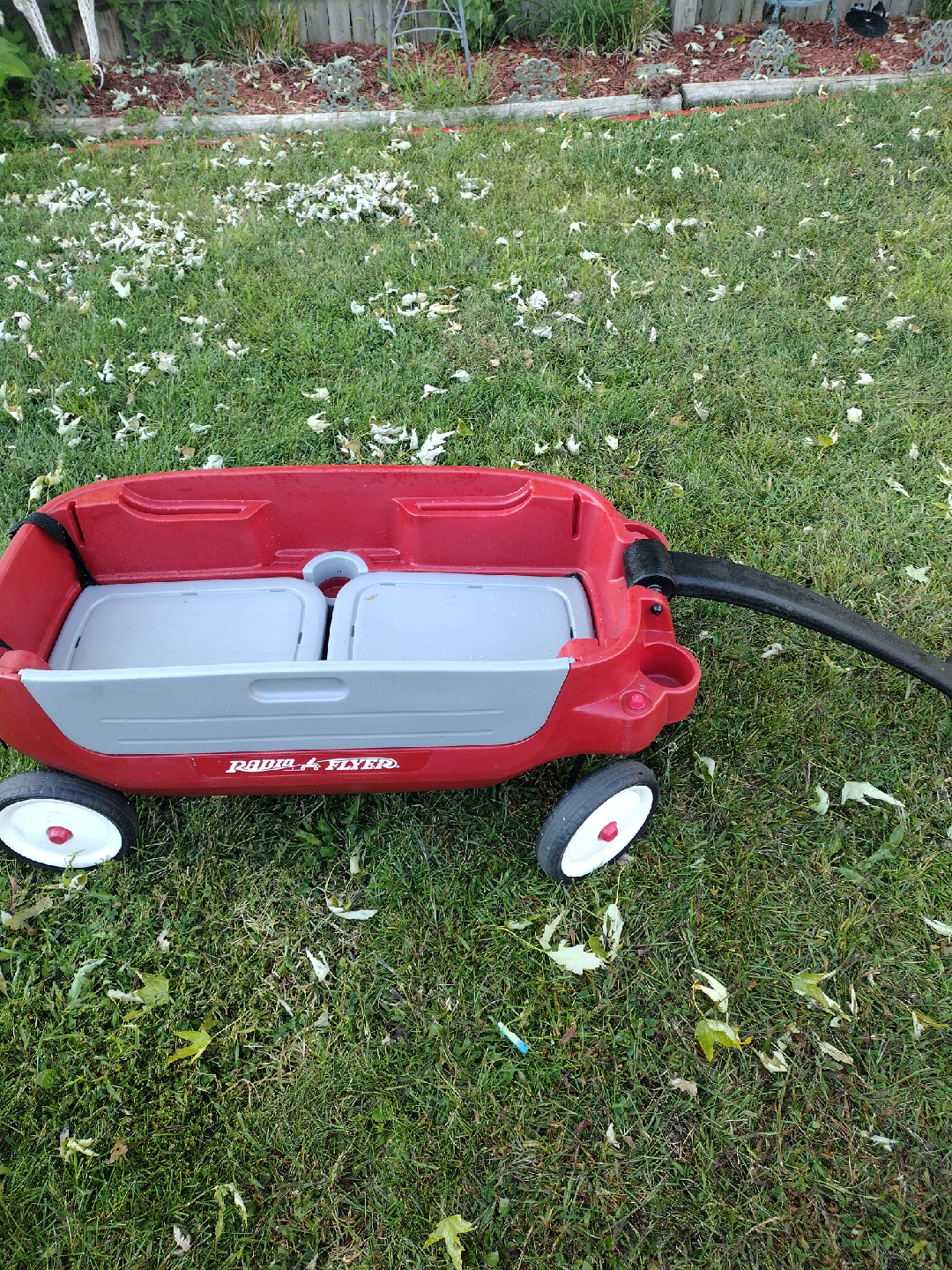 Radio Flyer Wagon