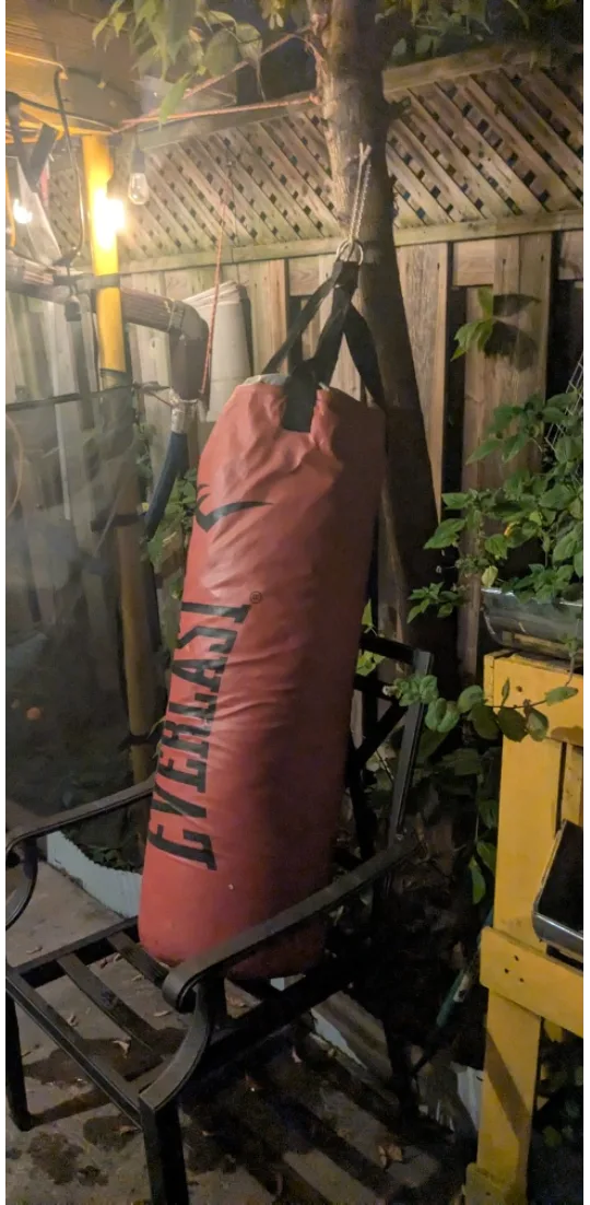 Everlast Punching Bag (RED) image indicator(3)